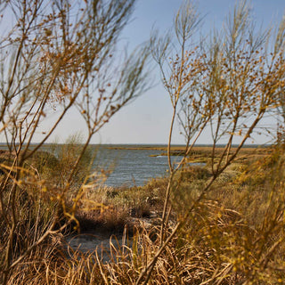 Pflanzen, Wälder, Wasser und Himmel inspirieren uns zur Entwicklung des Kugelbrunnens