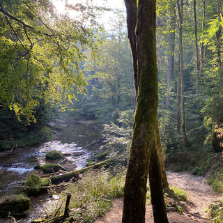 Der Kugelbrunnen gibt uns das Gefühöt den sprudelnden Bach zu hören, während wir durch den Wald laufen